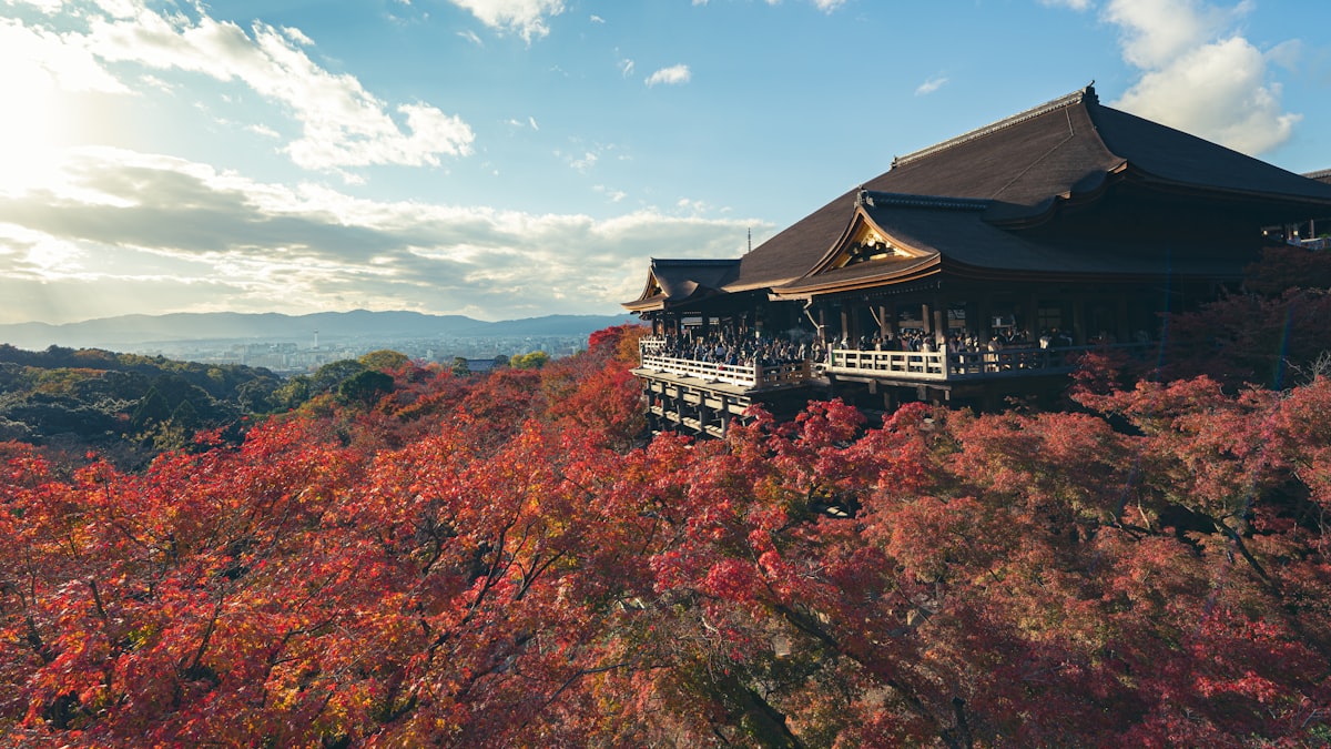Autumn Leaves in Japan