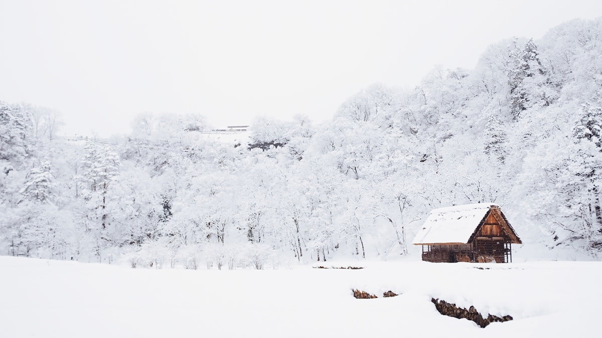 Japan in Winter
