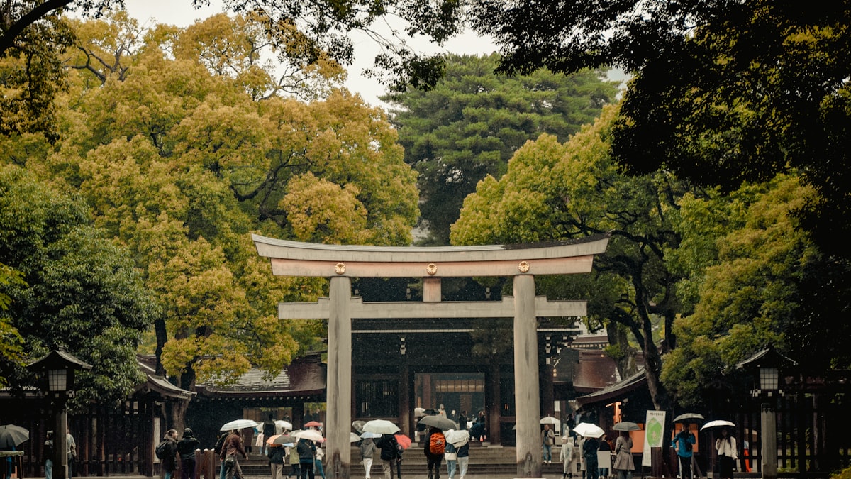 Shrines vs Temples in Japan: The Difference & Etiquette
