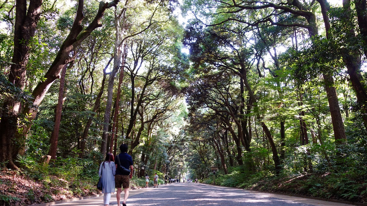 Studio Ghibli in Japan